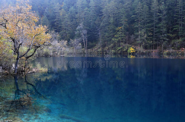 中国九寨沟山上的蓝色湖泊