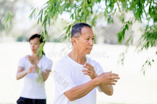 成人亚洲的有吸引力的照顾芝加哥