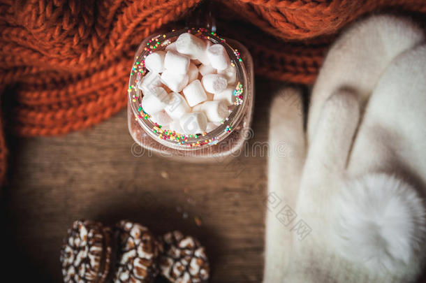 可可与棉花糖，巧克力片饼干，针织橙色围巾和白色手套在木制背景