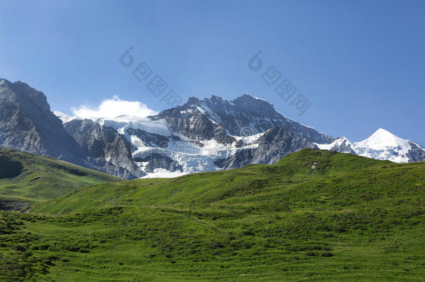 阿莱奇阿尔卑斯山背景美丽的美女