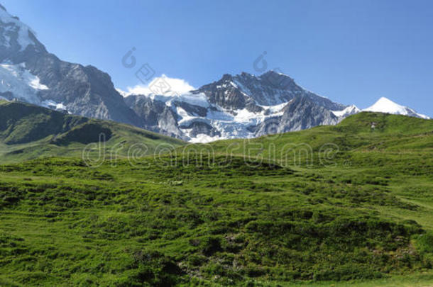 阿莱奇阿尔卑斯山背景美丽的美女