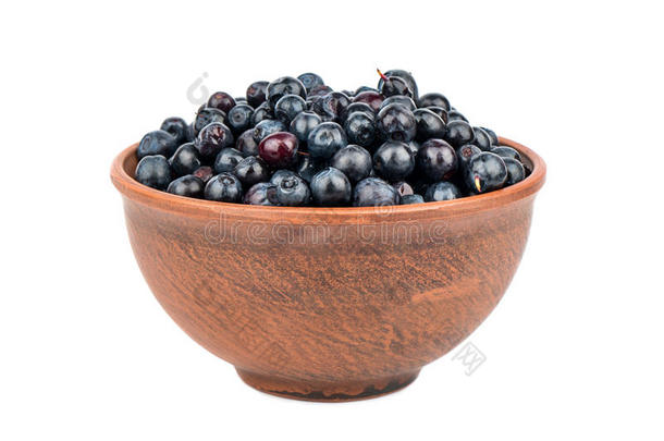 碗里的蓝莓