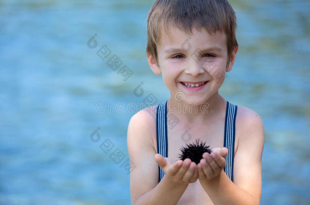 可爱的孩子，抱着海胆在海滩上