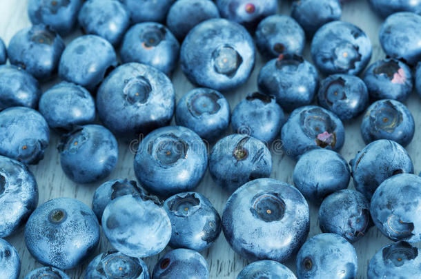蓝莓抗氧化有机超级食品，新鲜蓝莓背景