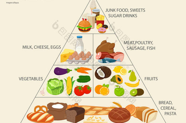 食物金字塔健康饮食信息图。 健康的生活方式。 产品的<strong>图标</strong>。 矢量