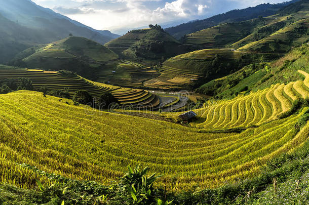 农业亚洲巴厘岛巴诺美丽的
