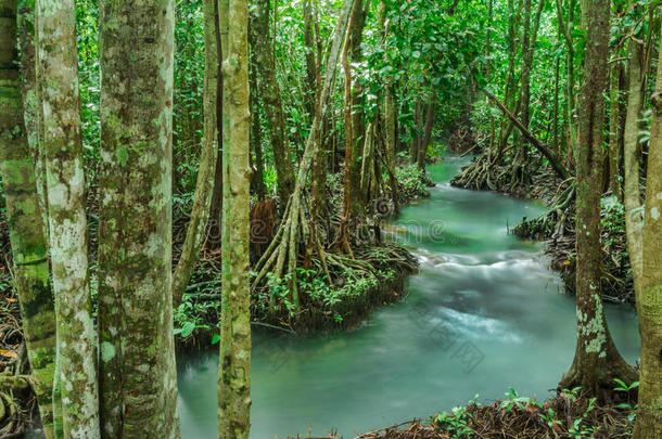 翡翠池是泰国克拉比红树林中<strong>看不见</strong>的水池，水流，长曝光技术