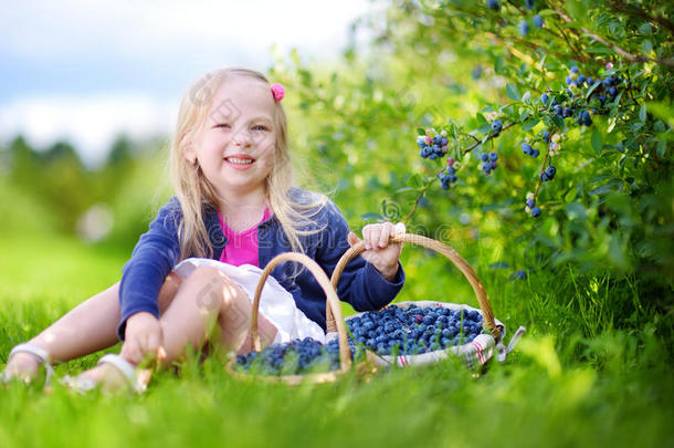 可爱的小女孩在有机<strong>蓝莓</strong>农场<strong>采摘</strong>新鲜浆果