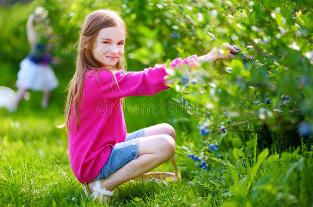 可爱的小女孩在有机<strong>蓝莓</strong>农场<strong>采摘</strong>新鲜浆果