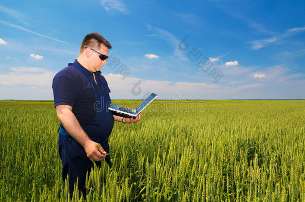 农<strong>民用</strong>笔记本电脑检查小麦