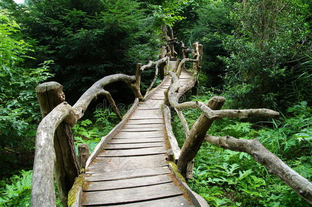 和生物群系<strong>黑色木板</strong>路生态系统