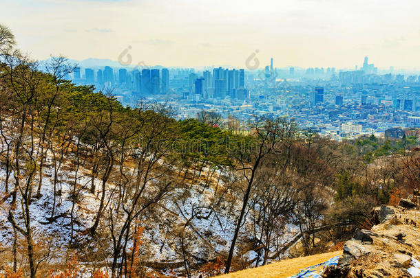 吸引力美丽的建筑城市城市景观