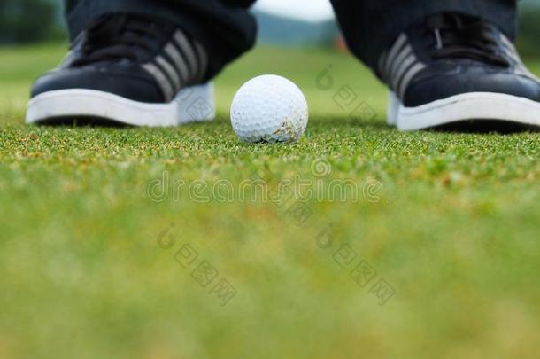 高尔夫球运动员将球<strong>放入</strong>洞中，只有脚和铁才能被看到
