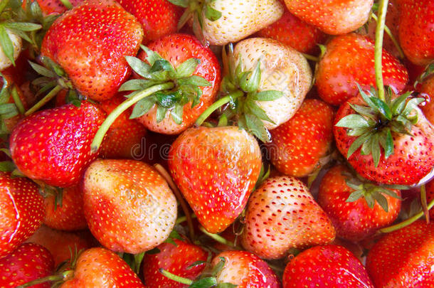 新鲜红色草莓背景。