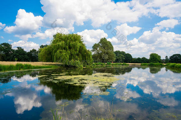 汉普顿宫廷公园的一个池塘