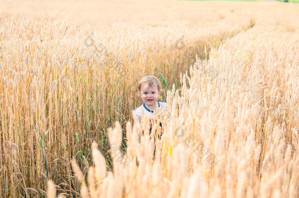 夏天，一个小女孩在田野里摸麦子的手耳