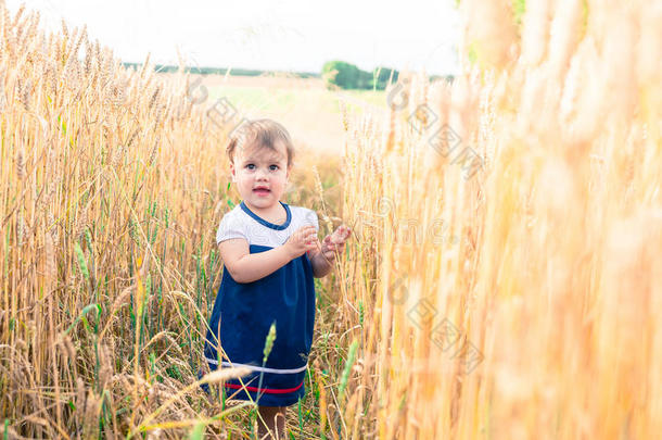 夏天，一个小女孩在田野里摸<strong>麦子</strong>的手耳