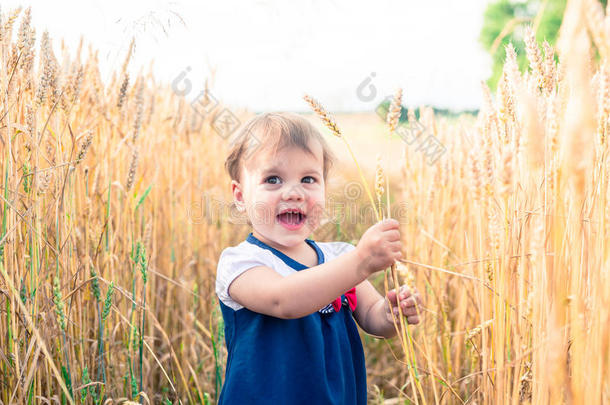 夏天，一个小女孩在田野里摸<strong>麦子</strong>的手耳