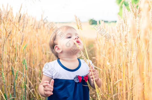 夏天，一个小女孩在田野里摸麦子的手耳