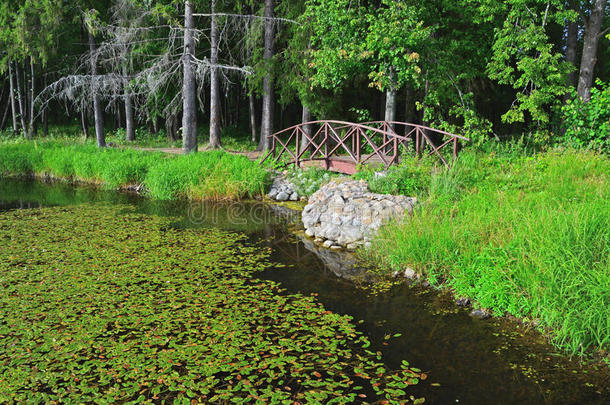 在托尔霍克区的Znamenskoye-Rayok庄园（18世纪）农场公园的池塘里的一座桥