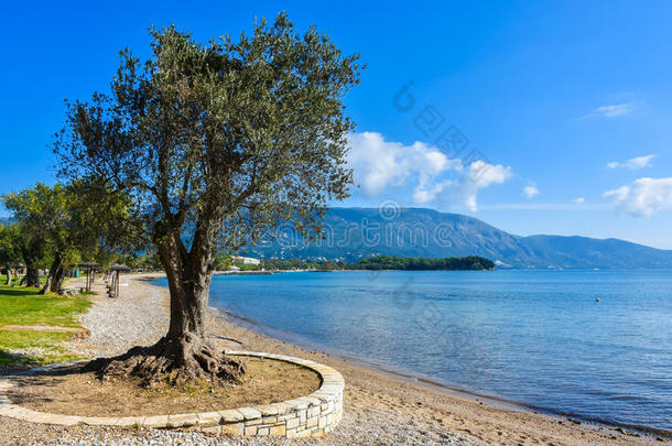地中海科孚岛上的希腊海滩