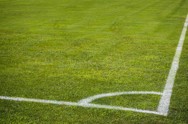 足球场<strong>一角</strong>有白色的痕迹，绿色的草质地。