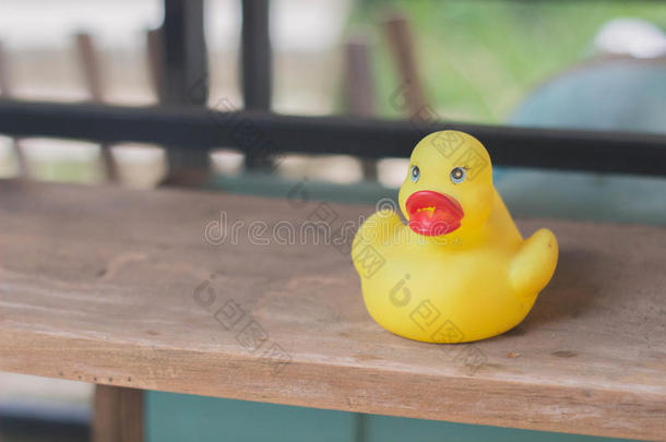 单独地可爱的鸭子孤独的橡胶
