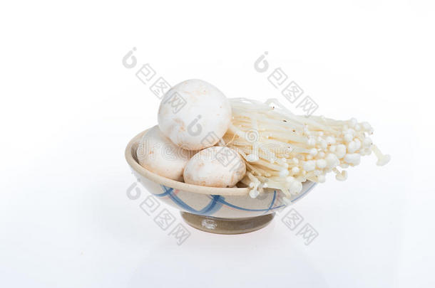 金针蘑菇和松茸蘑菇