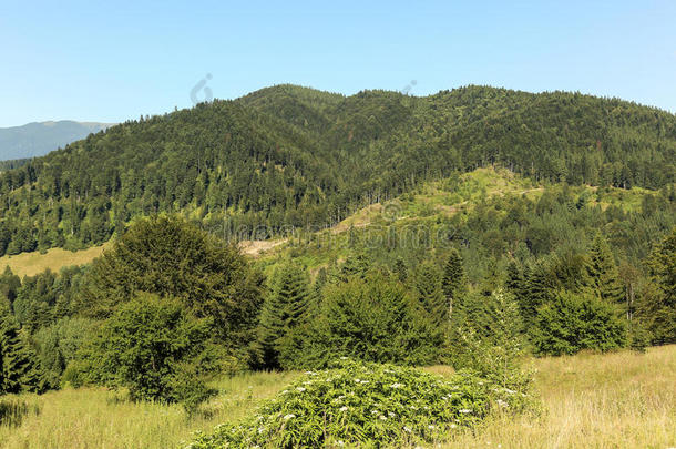 乡村住宅欧洲欧洲的领域