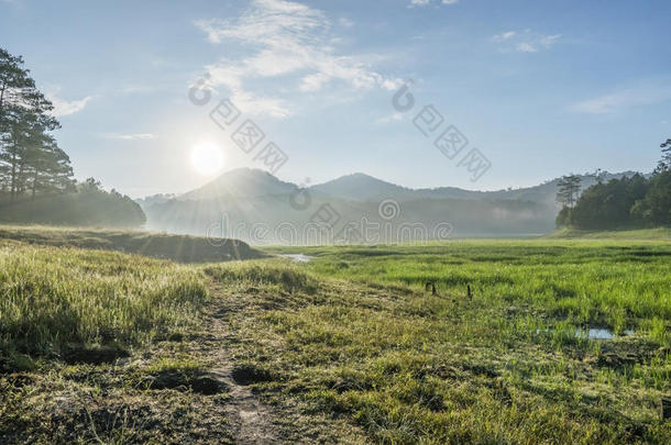 越南大叻市荷塘林湖附近的suoi tia地区