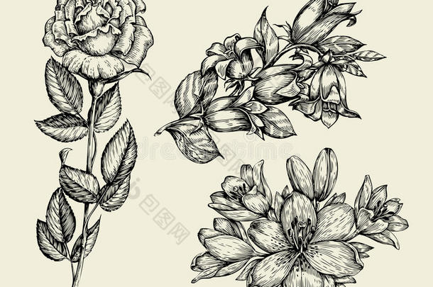 鲜花。 手绘素描花铃，玫瑰，百合，花卉图案。 矢量插图