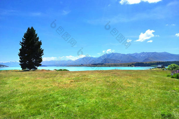 新西兰的特卡波湖