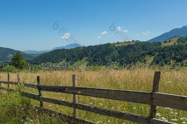 乡村住宅欧洲欧洲的领域