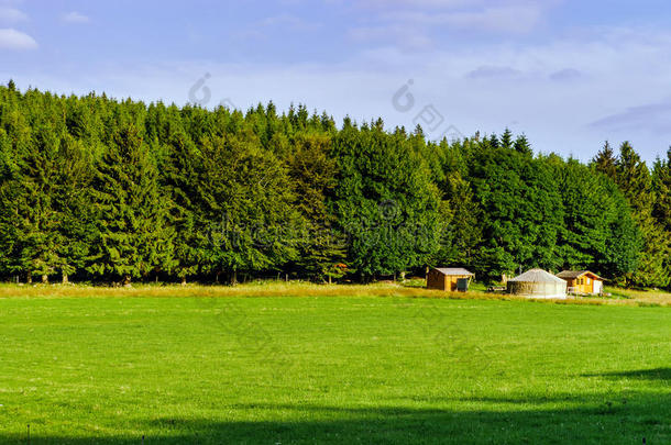 田野上绿草，夏天的风景