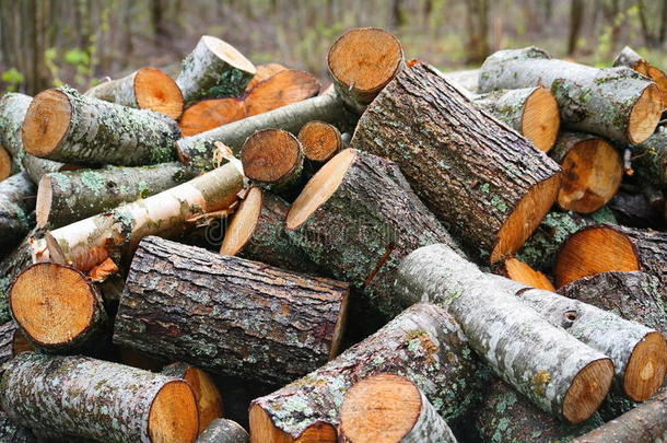 一大堆木柴。 壁炉用的一堆木柴。 锯成树干的红杨和桦树，堆成一堆