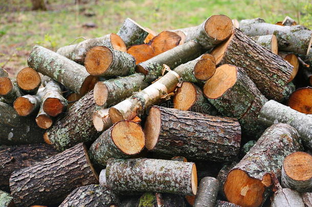 <strong>一</strong>大<strong>堆</strong>木柴。 壁炉用的<strong>一堆</strong>木柴。 锯成树干的红杨和桦树，<strong>堆</strong>成<strong>一堆</strong>