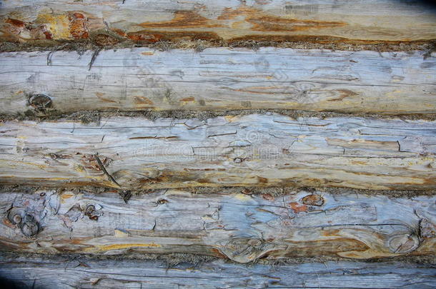 木质纹理背景、木板颗粒、旧地板条纹板