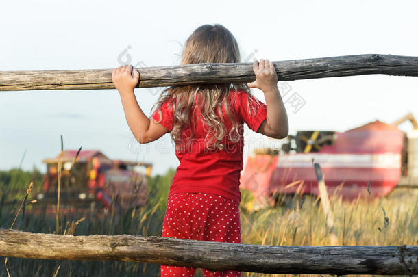 好奇的农场女孩穿着波尔卡圆点儿童平底锅看着田野与工作的红色联合收割机