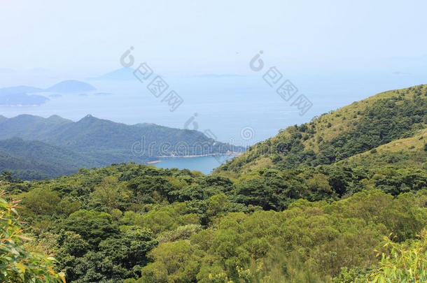 瓷器钟海岸乡村绿色