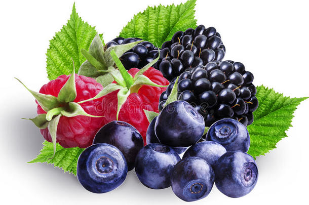 <strong>蓝莓</strong>，<strong>蓝莓</strong>，覆盆子和黑莓，分离