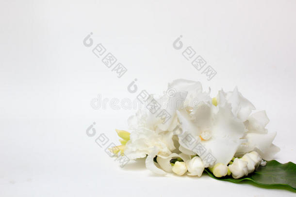 美丽的花束白色<strong>栀子花</strong>。
