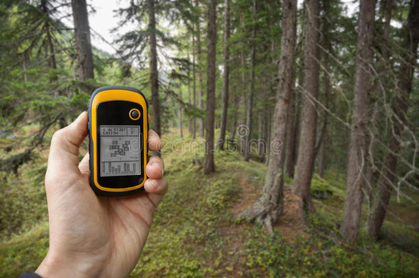 通过GPS（模糊背景)在森林中找到正确的位置）