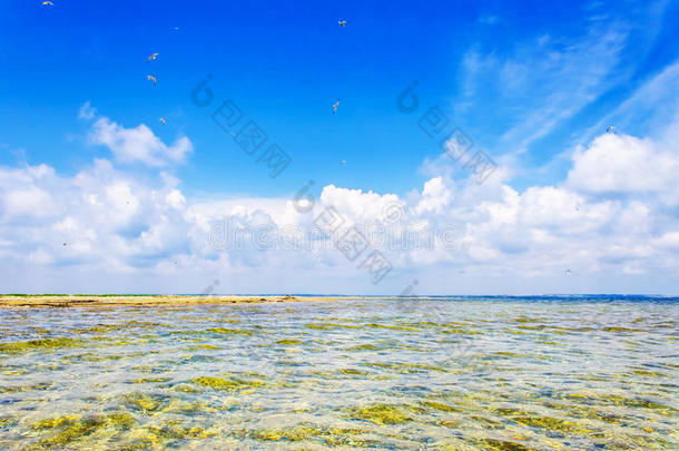 海滩，大海，蓝天和蔚蓝的水，自然背景