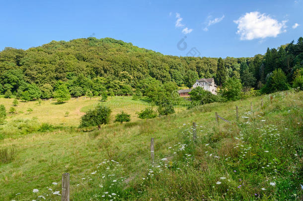 德国夏季乡村景观与草地，森林和房子，背景
