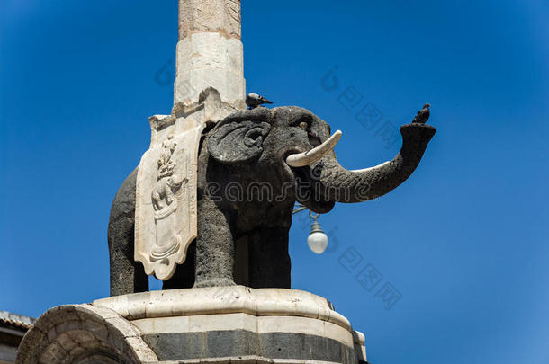 动物建筑学卡塔尼亚文化大象