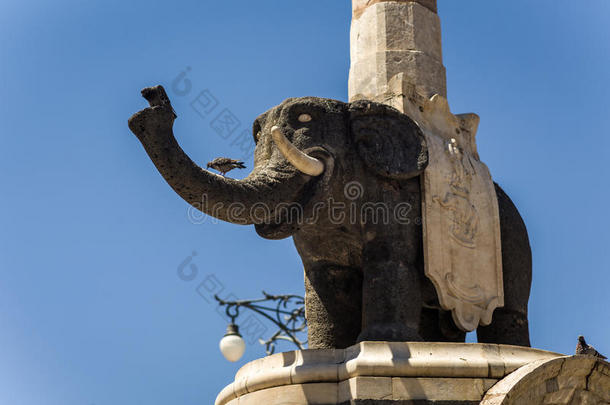 动物建筑学卡塔尼亚<strong>文化</strong>大象