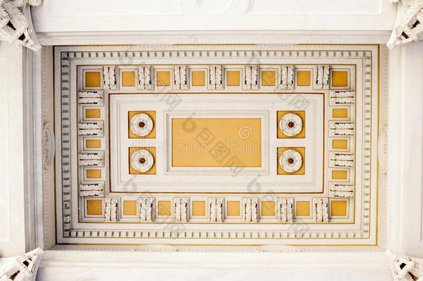 古典旧天花板装饰花卉设计