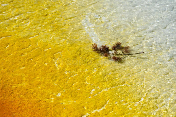日落湖，黄石国家公园