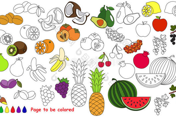 大夏水果套装卡通。 页面要着色。