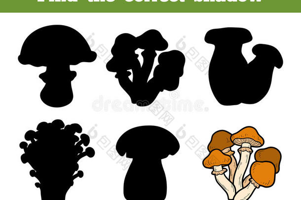 找到正确的影子，关于蘑菇的教育游戏